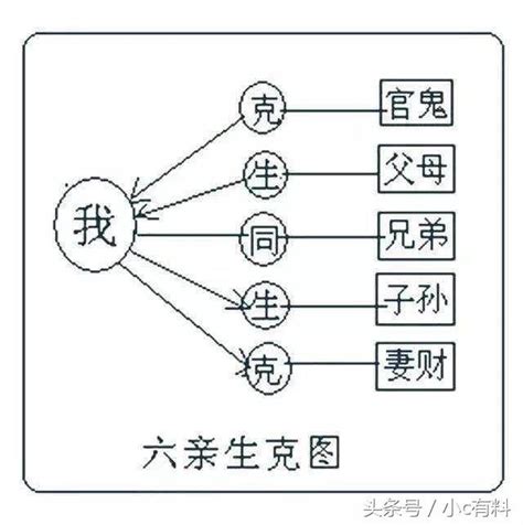 六親易經|易經八卦中，六親是什麼？卦成之後，我們如何分辨？。